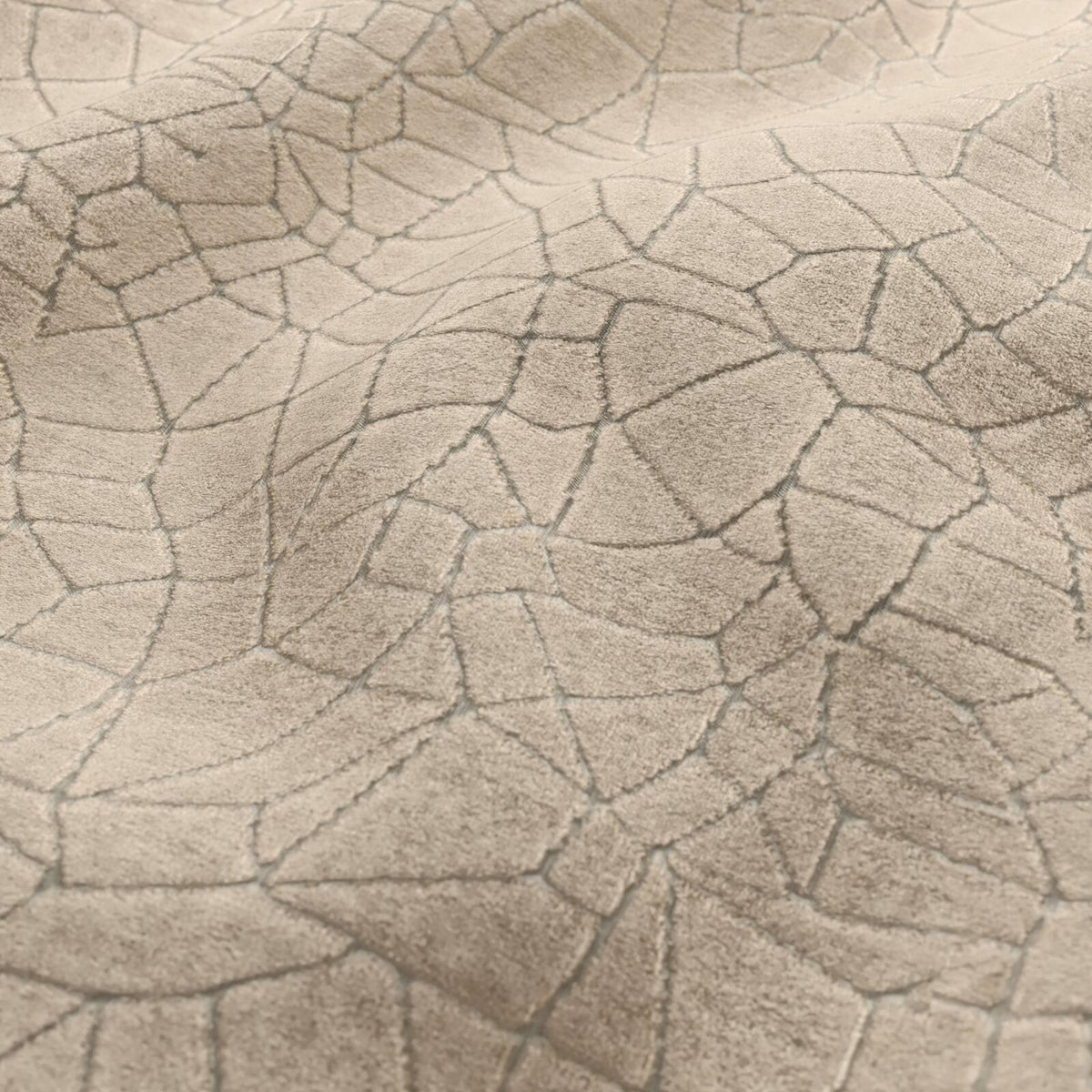 #Variant_Beige
