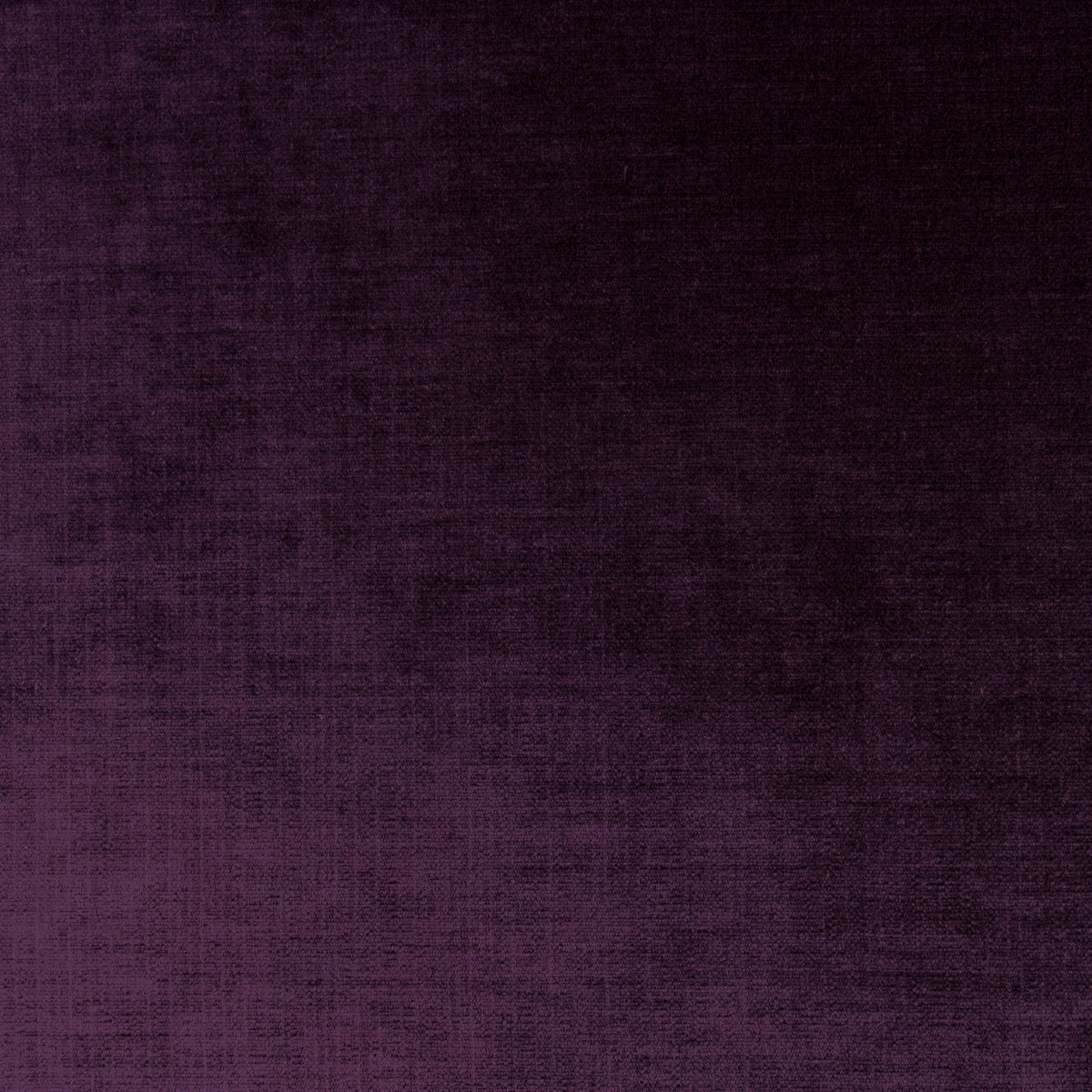 #Variant_083