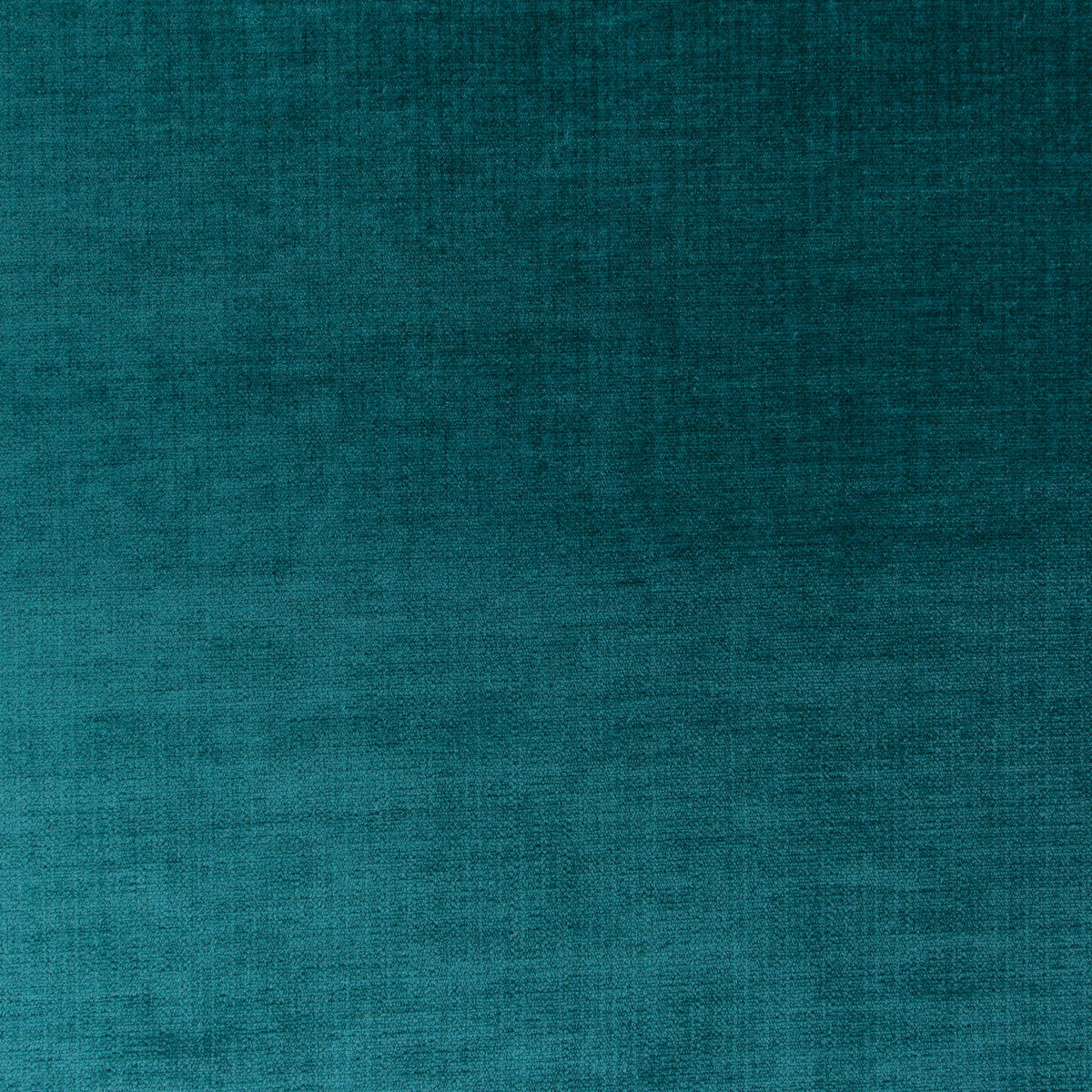 #Variant_084