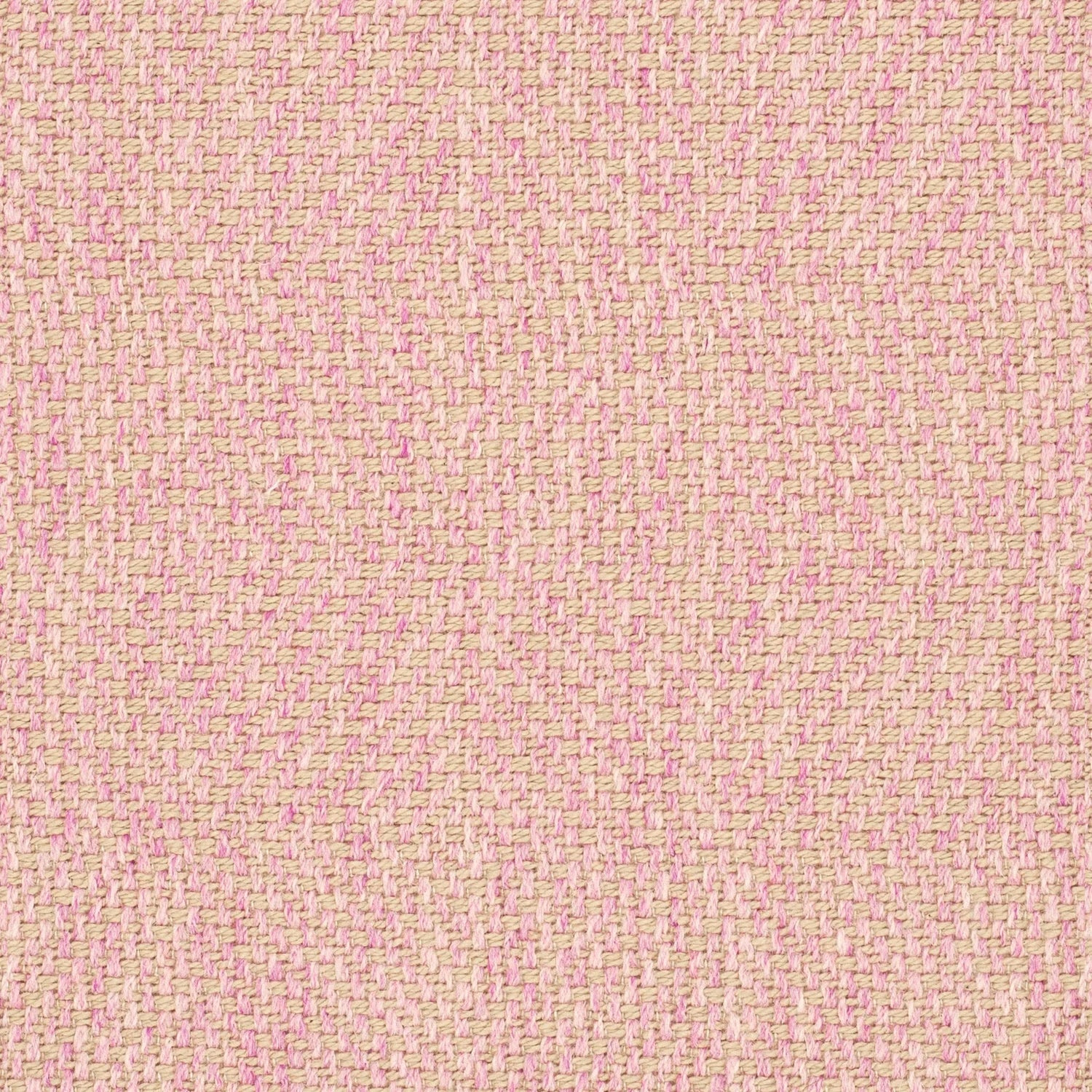Englesson Westray Cotton Candy #Variant_Cotton Candy