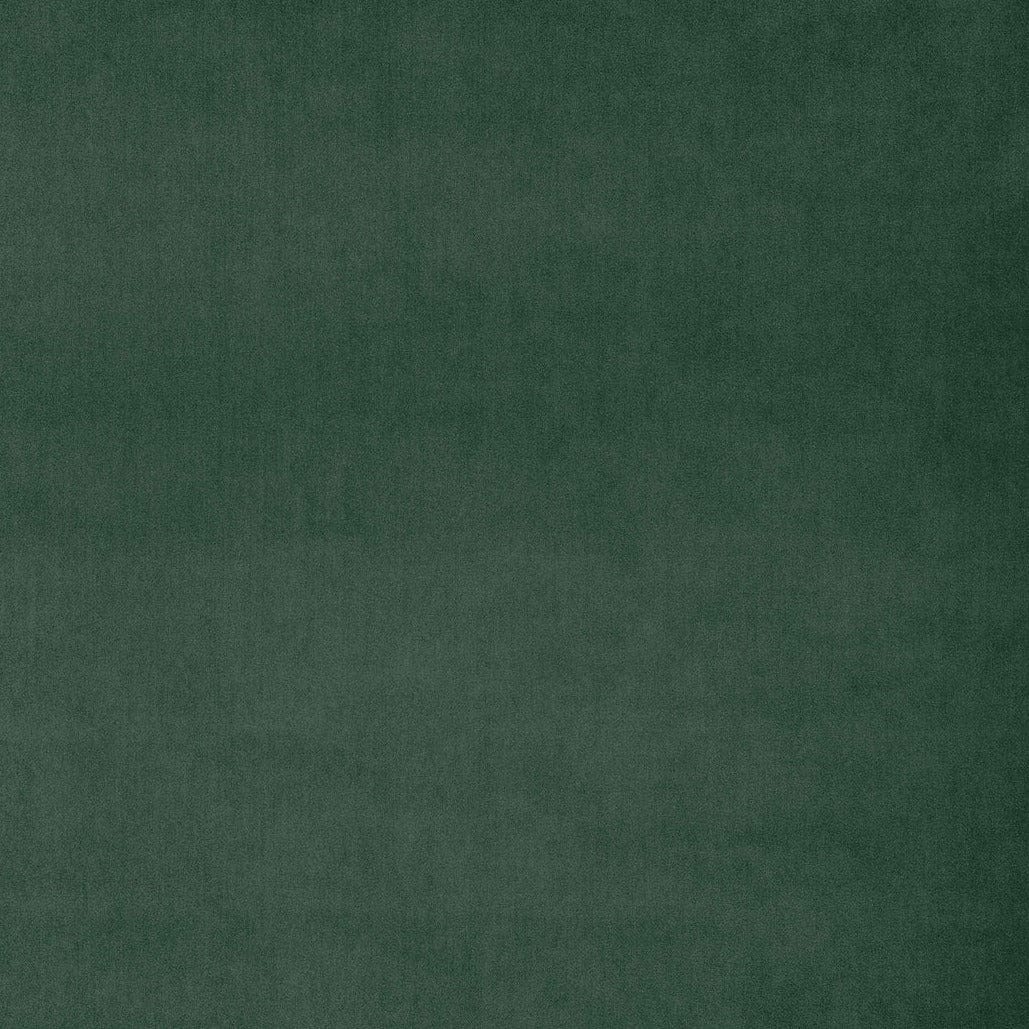 Englesson Teal Omegaa #Variant_Teal