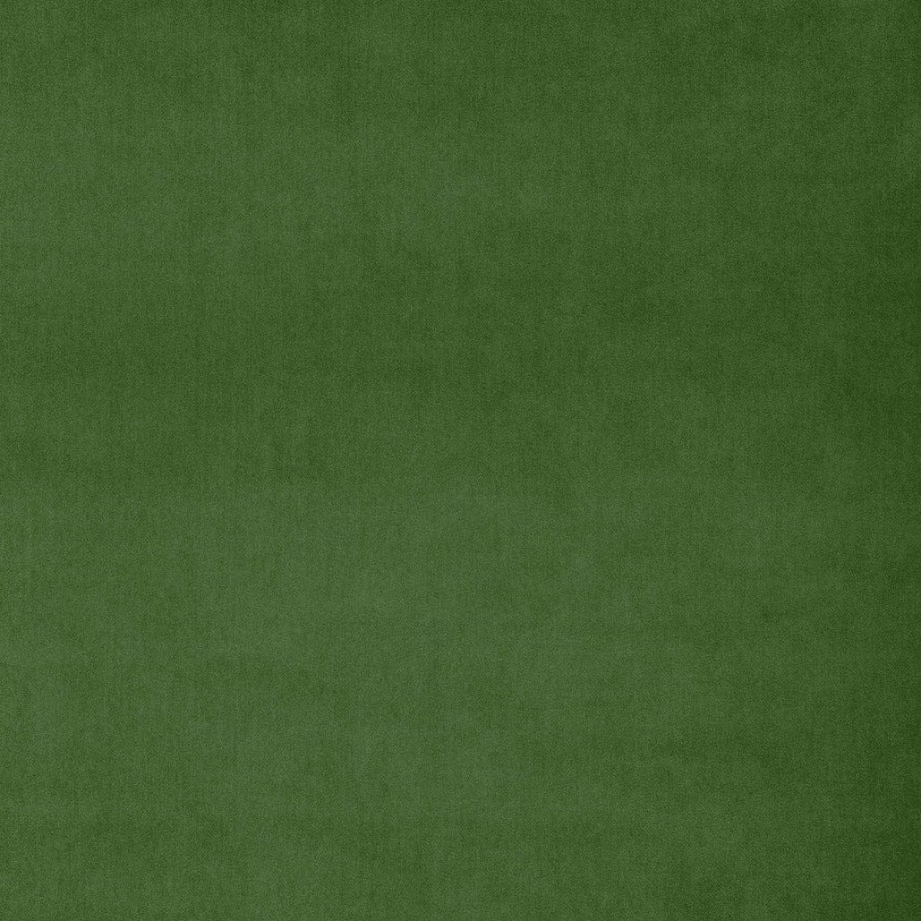 Englesson Grass Omegaa #Variant_Grass