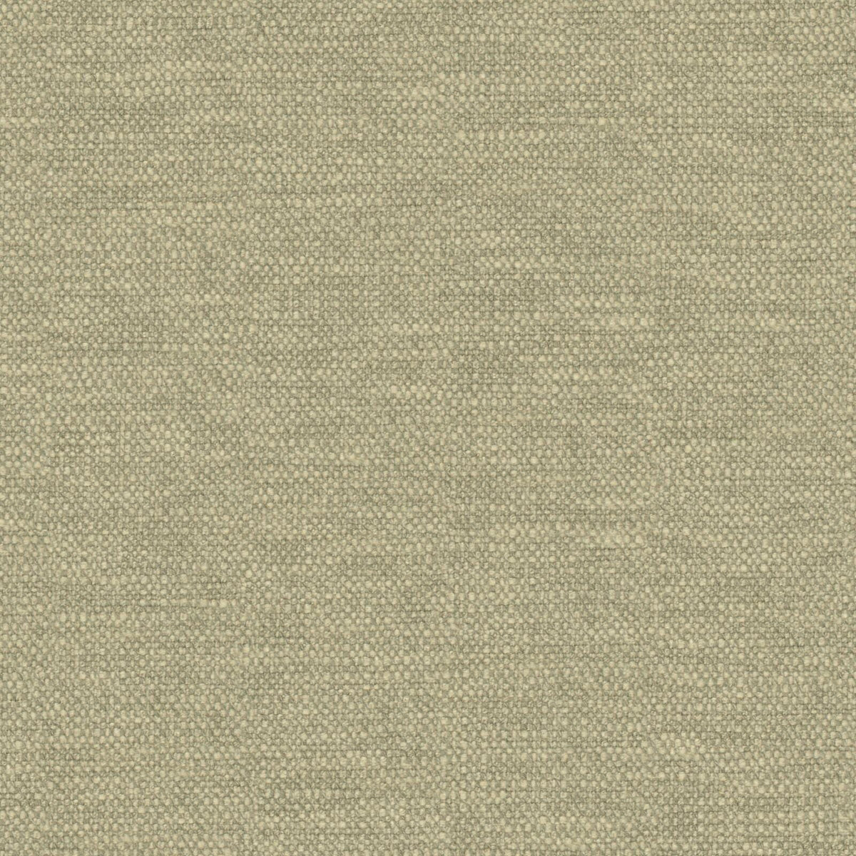 #Variant_Khaki