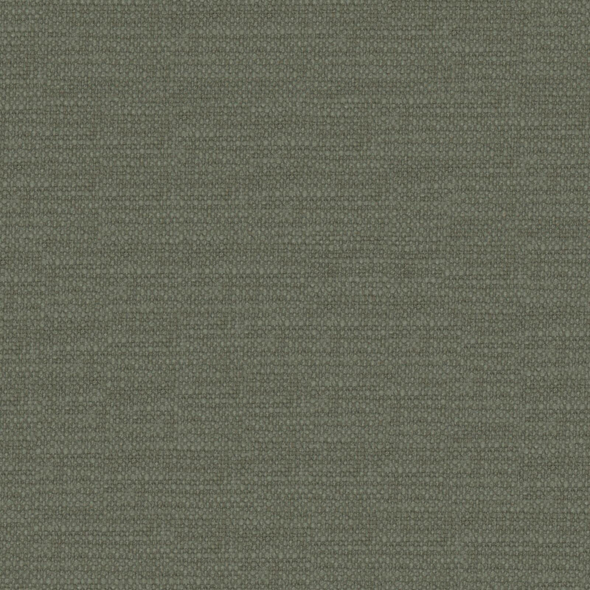 #Variant_Forest