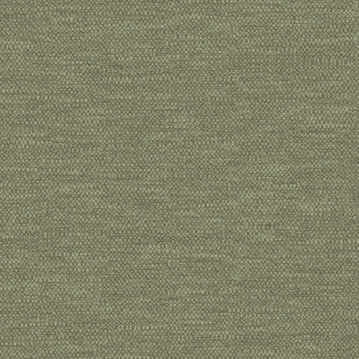 #Variant_Camouflage