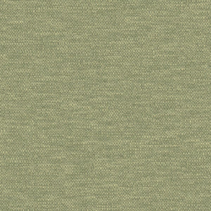 Colourwash ECO Hedge