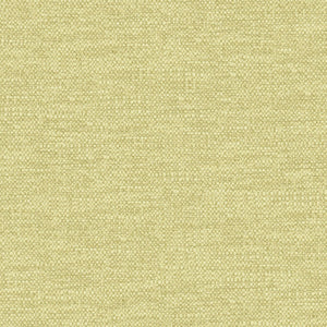 Colourwash ECO Lime