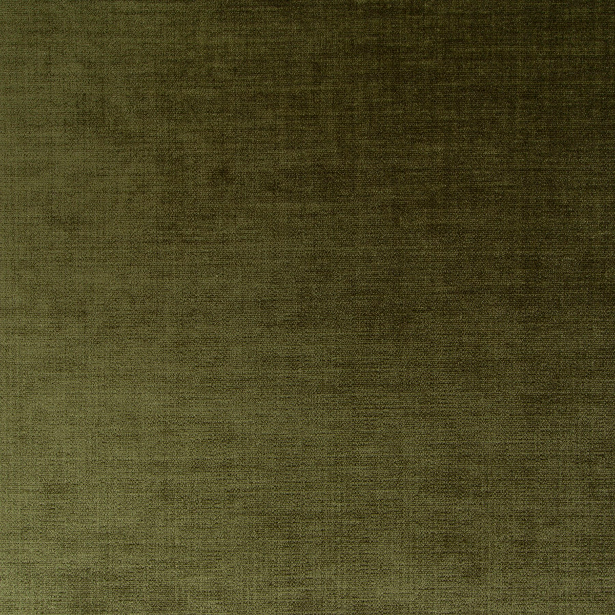 #Variant_031