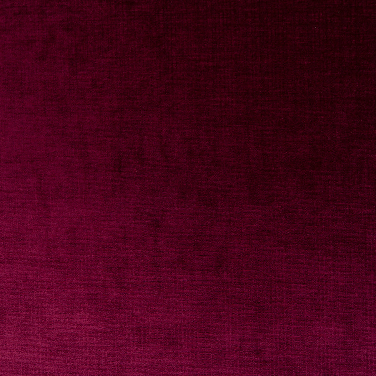 #Variant_081