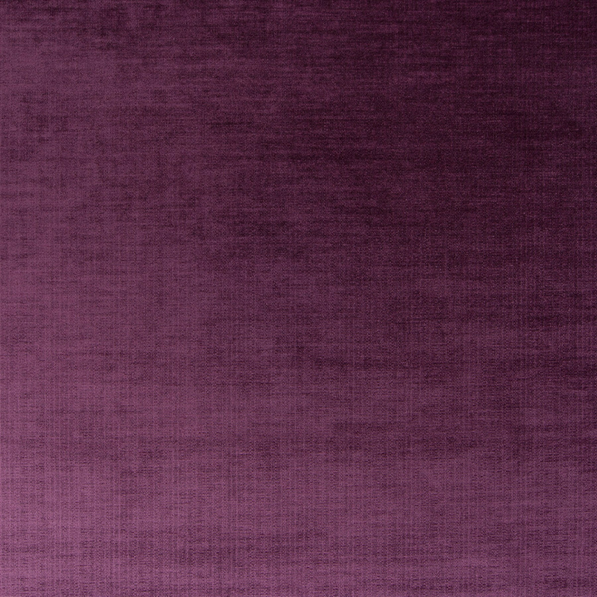 #Variant_082