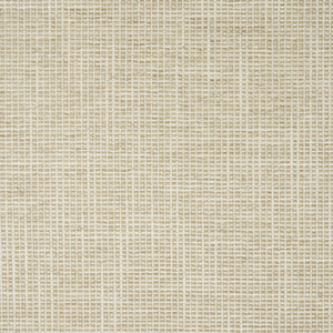 Cult Plain Plain