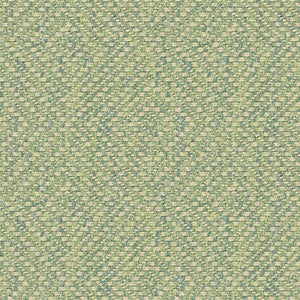 Westray Fern