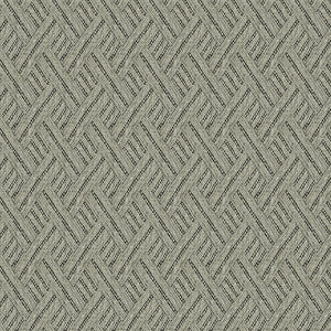 Tango Weaves Rumba Coal
