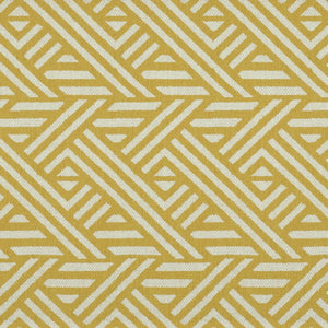 Tango Weaves Pampas Saffron