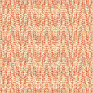 Tango Weaves Salta Orange