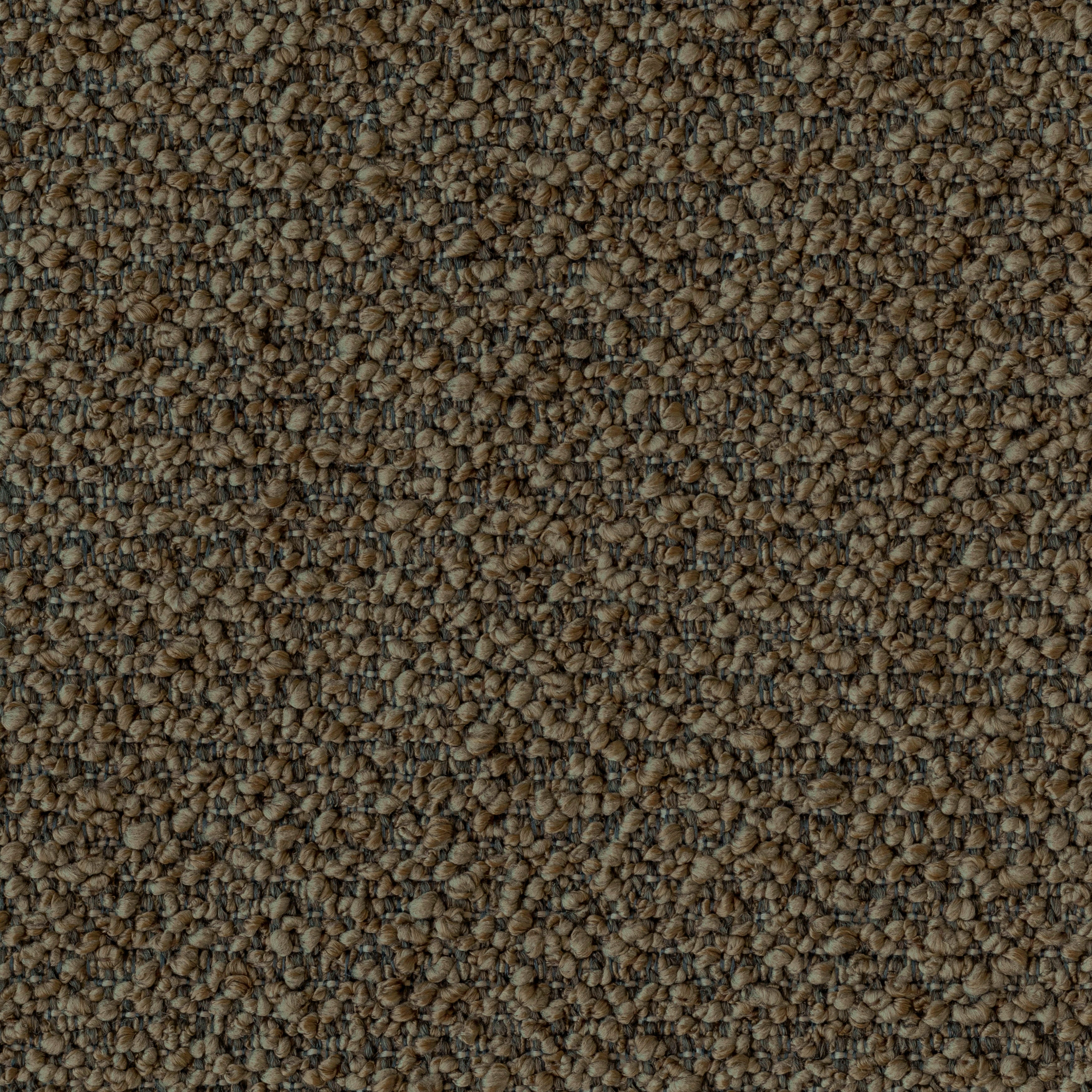 #Variant_Brown
