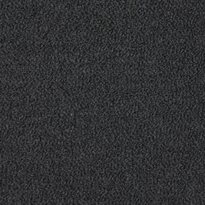 Sierra Graphite