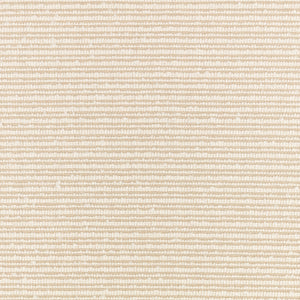 Torus Bone