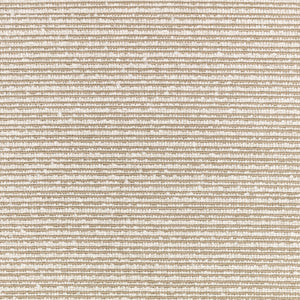 Torus Elm