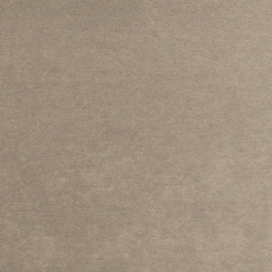 Baron Stucco
