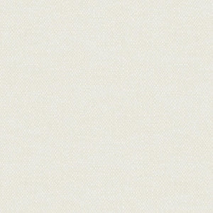 Colourwash Swan