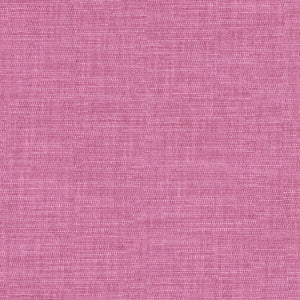 Nolita Camelia