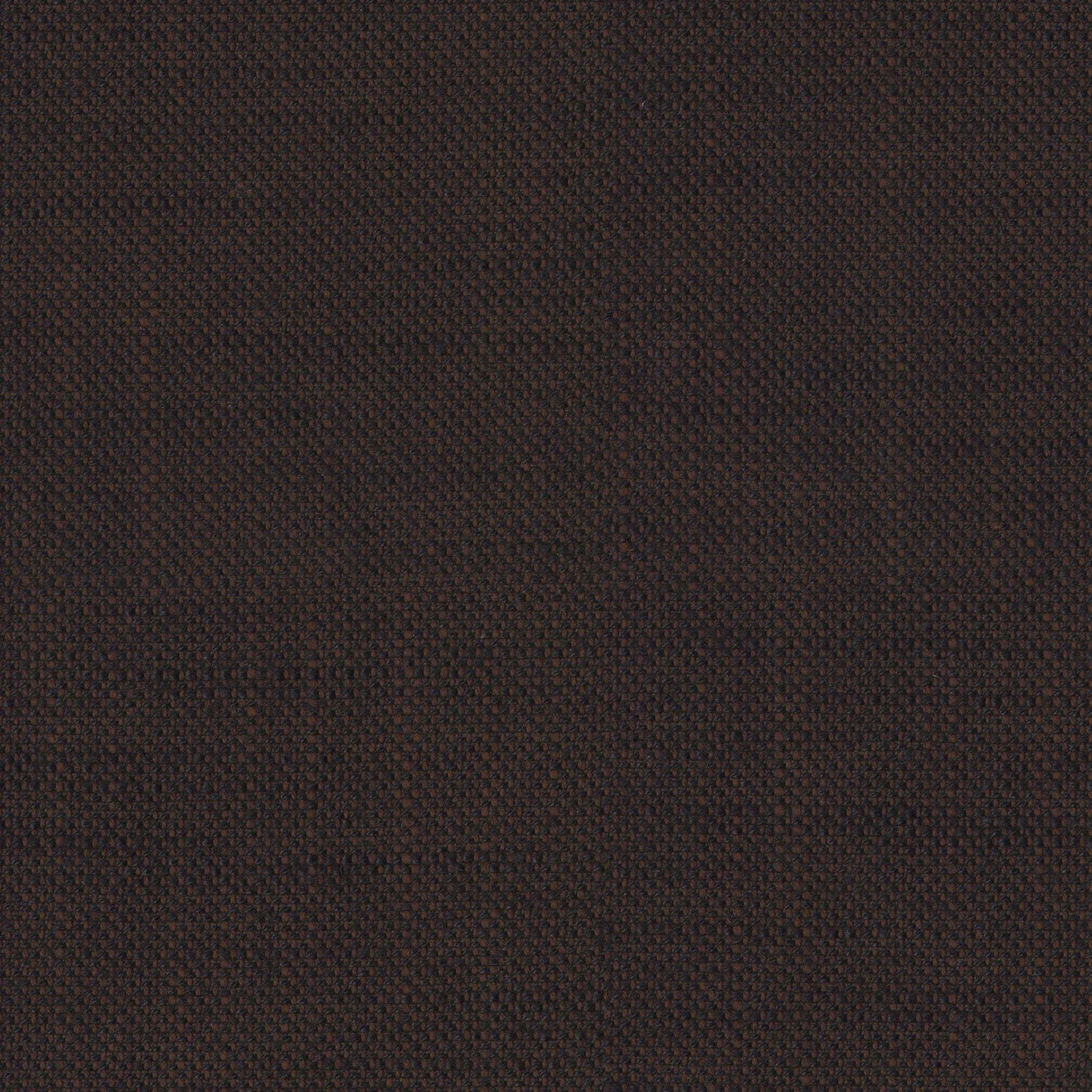 Englesson Darkbrown Piquet #Variant_Darkbrown