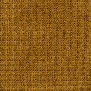 Regain Ocre