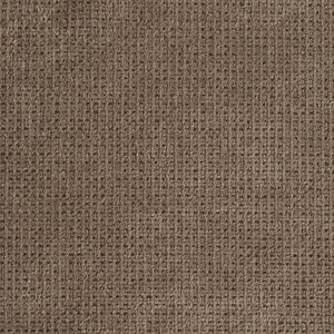 Regain Taupe
